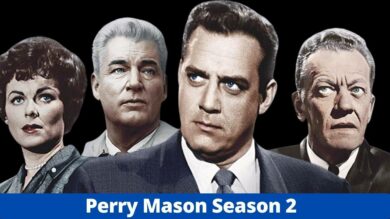 Perry Mason Season 2: Screenplay, Characters And More Updates! - Raymond Burr