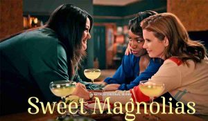 Market Research Journals sweet magnolias season 3