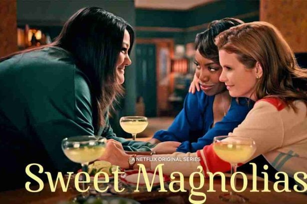 sweet magnolias season 3