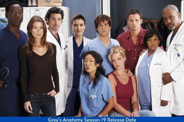When will Grey's Anatomy season 19 premiere?