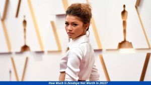 Market Research Journals How much is Zendaya net worth in 2022? Income, Career, Bio
