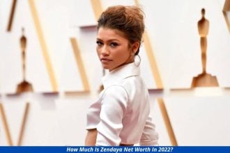 How much is Zendaya net worth in 2022?  Income, Career, Bio