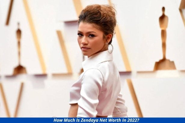 How much is Zendaya net worth in 2022?  Income, Career, Bio