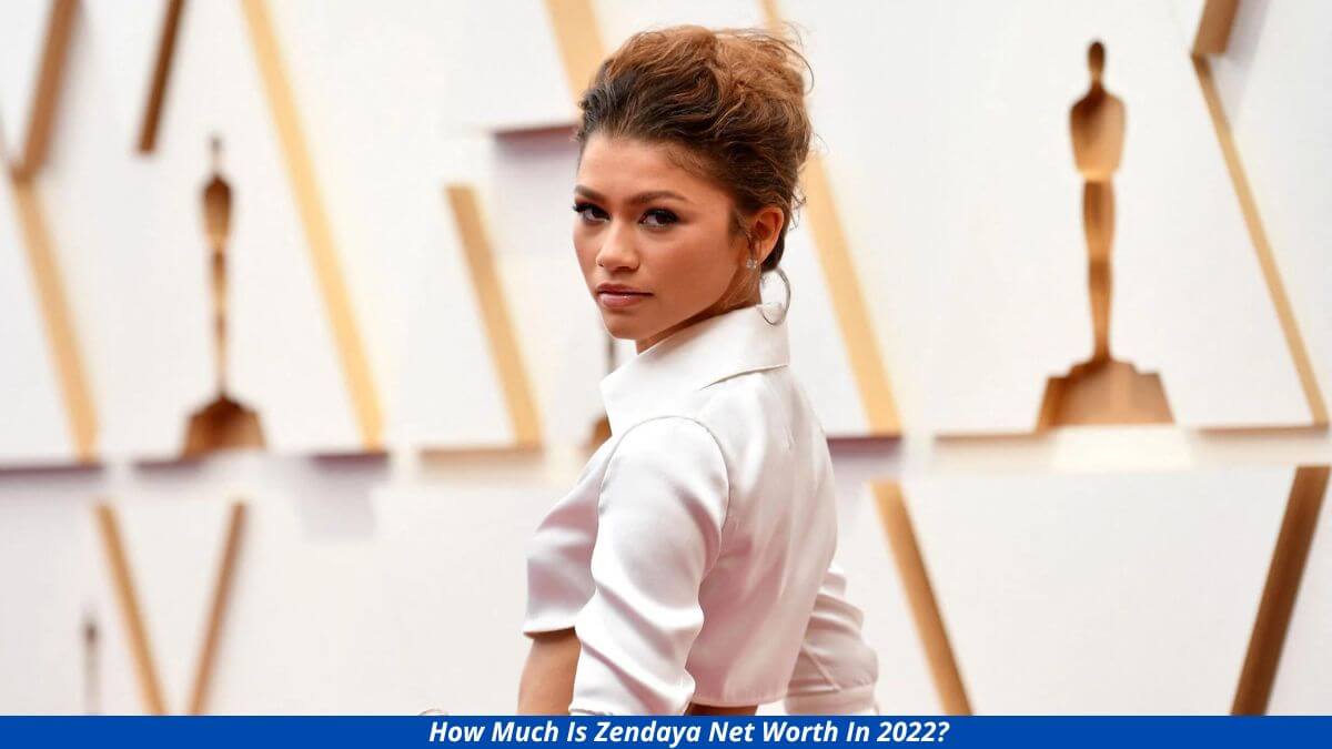 How much is Zendaya net worth in 2022?  Income, Career, Bio