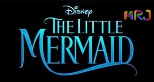 Market Research Journals The Little Mermaid