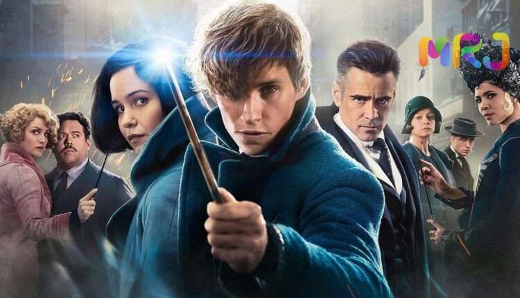 Will We Get To See Another Fantastic Beasts Movie? Expected Release Date &Amp; Confirmation Update