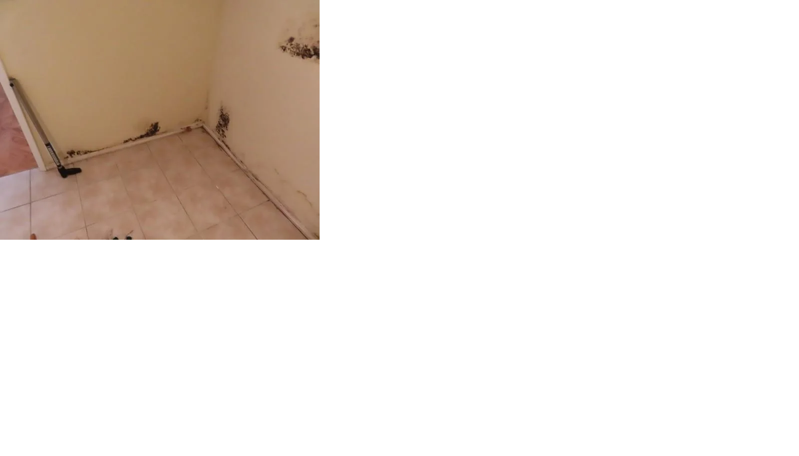 Indoor Moisture in Airtight Modern Residential Construction